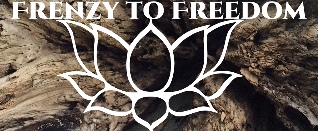 Frenzy to Freedom Inc