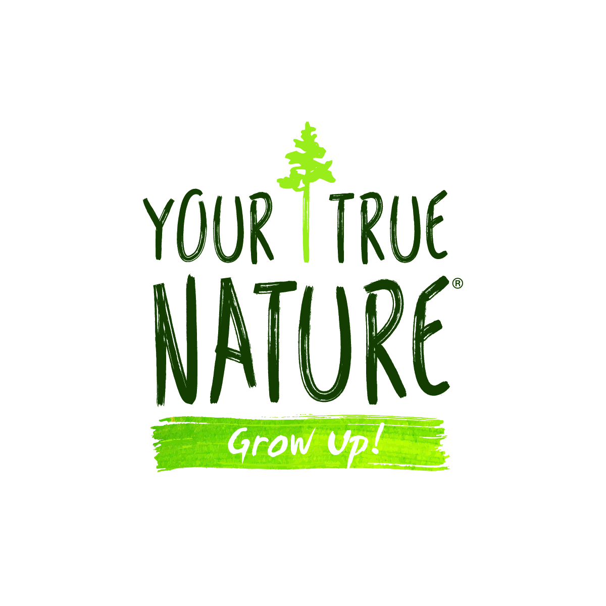 Your True Nature